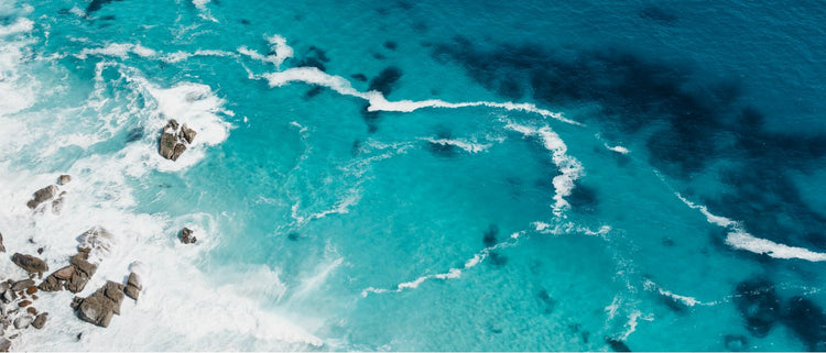 Save The Waves Pela Cases